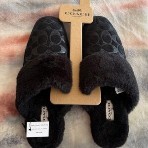 Coach slippers